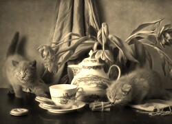 Szary + Sepia