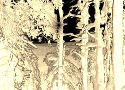 Sepia + Negatyw