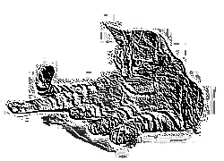 Skamielina