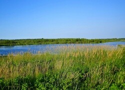 Oryginalny obrazek