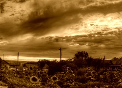 Sepia