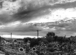 Szary + Sepia