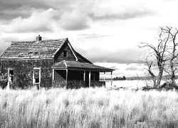 Szary + Sepia