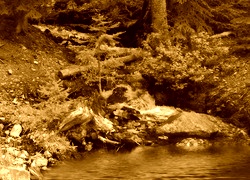 Sepia