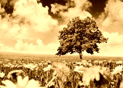 Sepia