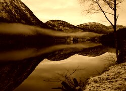 Sepia