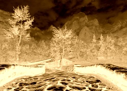 Sepia + Negatyw