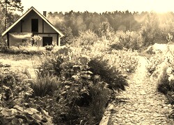 Szary + Sepia