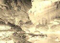 Sepia + Negatyw