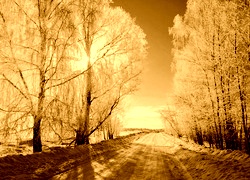 Sepia