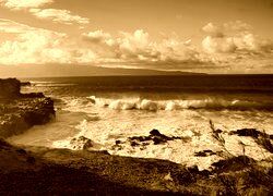 Sepia