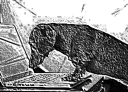 Skamielina