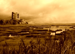 Sepia