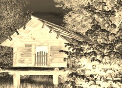 Sepia + Negatyw
