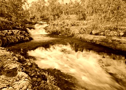 Sepia