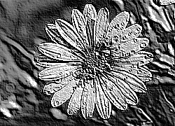 Skamielina