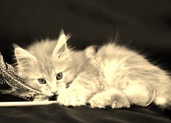 Szary + Sepia