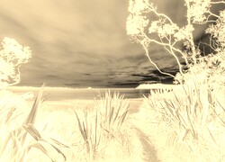 Sepia + Negatyw