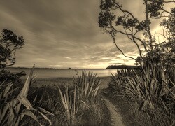 Sepia