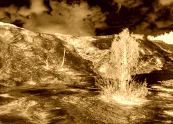 Sepia + Negatyw