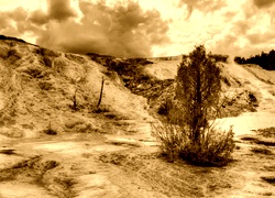 Sepia