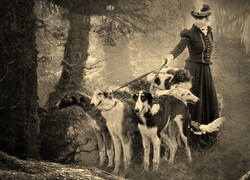 Szary + Sepia