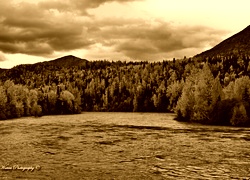 Sepia