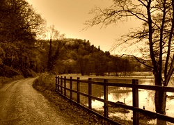 Sepia