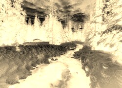Sepia + Negatyw
