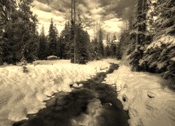 Sepia