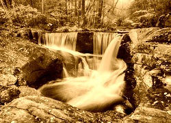 Sepia