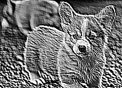 Skamielina