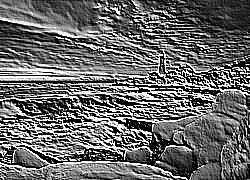 Skamielina