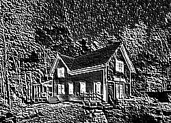Skamielina
