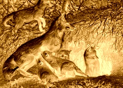 Sepia + Negatyw