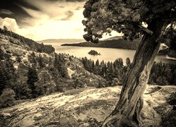 Sepia