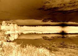 Sepia + Negatyw