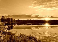 Sepia