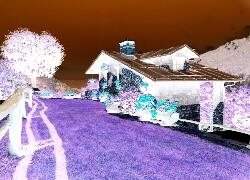 Negatyw