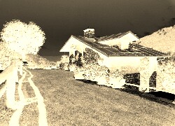 Sepia + Negatyw