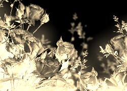 Sepia + Negatyw
