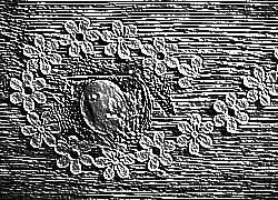 Skamielina