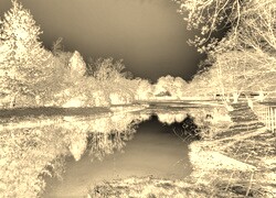 Sepia + Negatyw