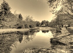 Sepia