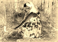Sepia + Negatyw