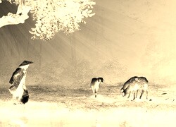 Sepia + Negatyw