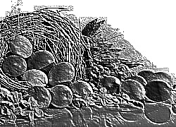 Skamielina