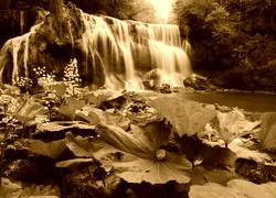 Sepia