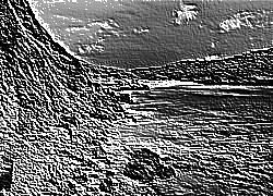 Skamielina