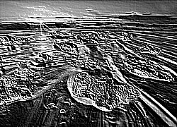 Skamielina